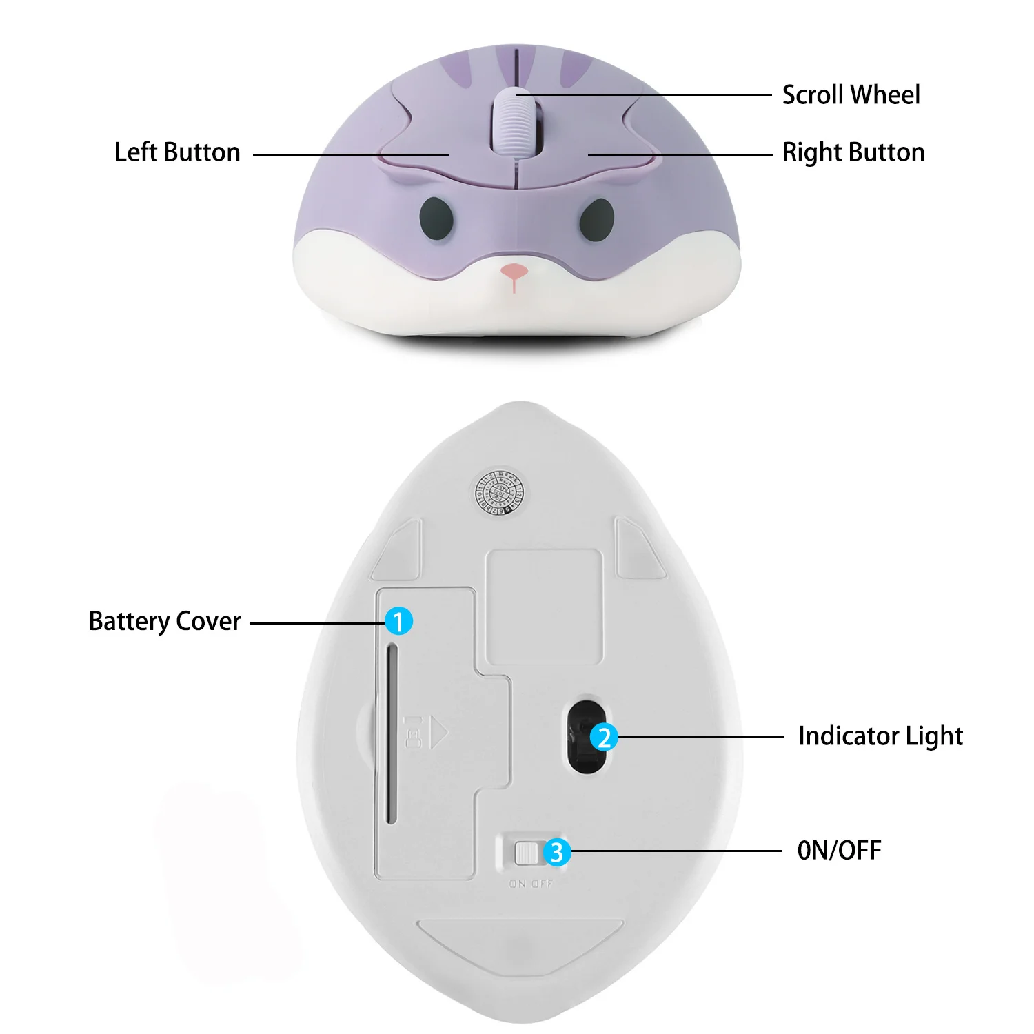 dsc-products
