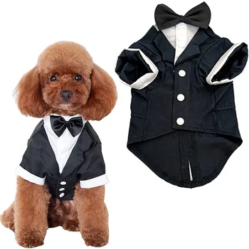 Small Dog Tuxedo Costume 1