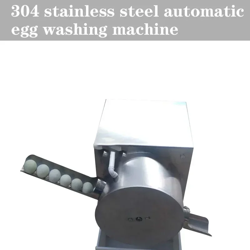 220V Electric Stainless Steel Egg Washing Machine Egg Surface Cleaner Single Port Washing Machine Chicken Duck Goose