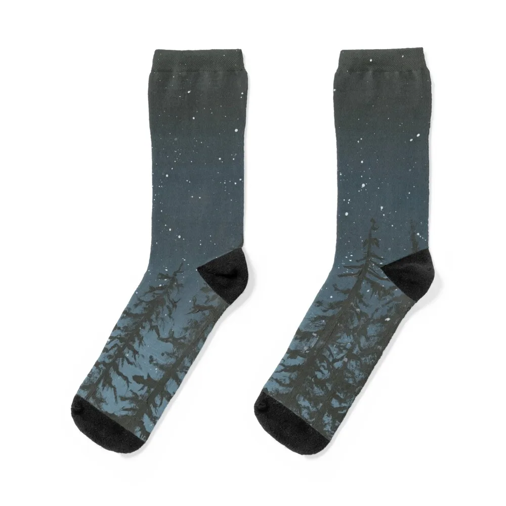 

Night Sky Socks sheer socks Non-slip socks Designer Man Socks Women's