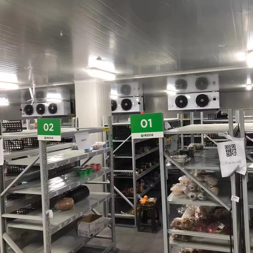 Cold Room Storage Cooling System Freezer Unit Walk in Cooler for Fruit and Florist Refrigerator Container