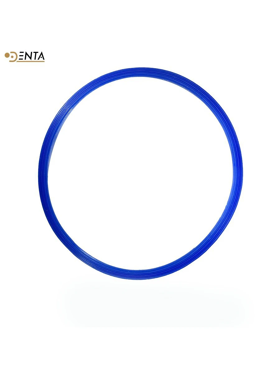 22# SONZ 23L Autoclave door gasket sterlization for China brand seal replacement o- ring Chamber for SONZ 23L accessories