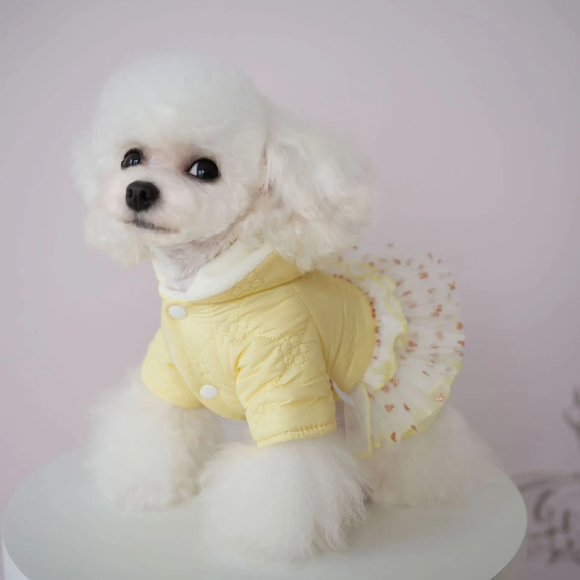 Pet Jacket Autumn and Winter Dog Parkas Teddy Bear Cat Pet Hooded Jacket Fluffy Skirt Two Legged Skirt Puppy Clothes For Small Dogs