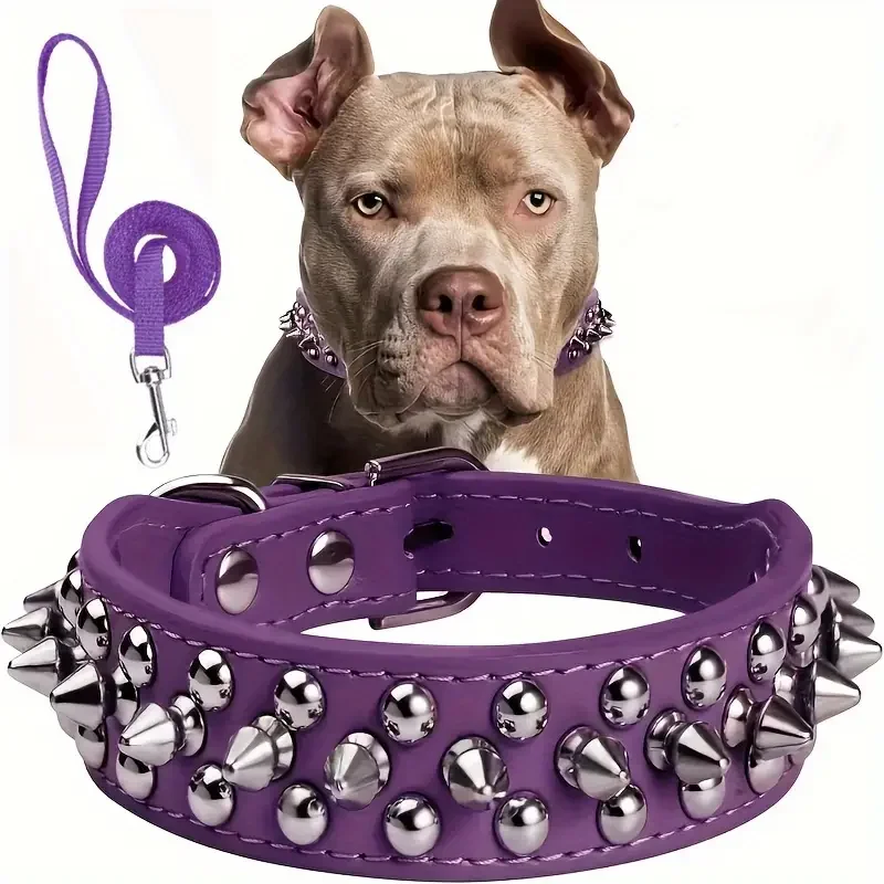 Spiked Dog Collar And Leash