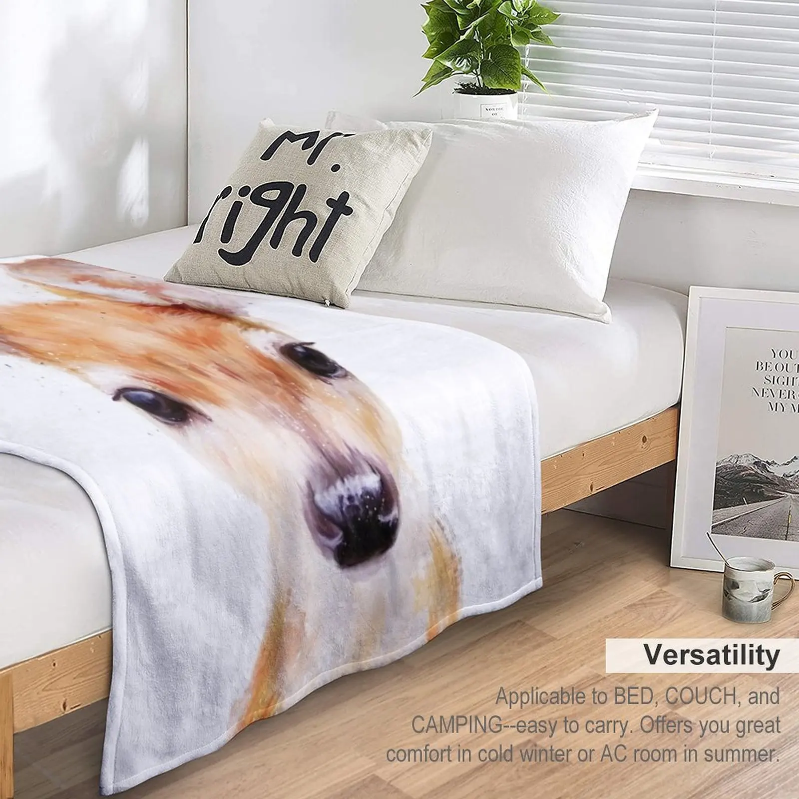 ���� �罿 ������ ���, ���Ÿ� ����Ʈ ���, �ڽ����� �ִϸ��̼�