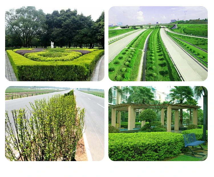360 Degree Motor Disc Four-Wheel Self Propelled Green Belt Electric Trimming Hine Hydraulic Hedge Trimmer Tractor 6