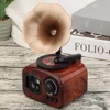 Retro Gramophone Music Box Mini Mechanism Clockwork Gramophone Musical Gift for Birthday Valentines Day Anniversary 4