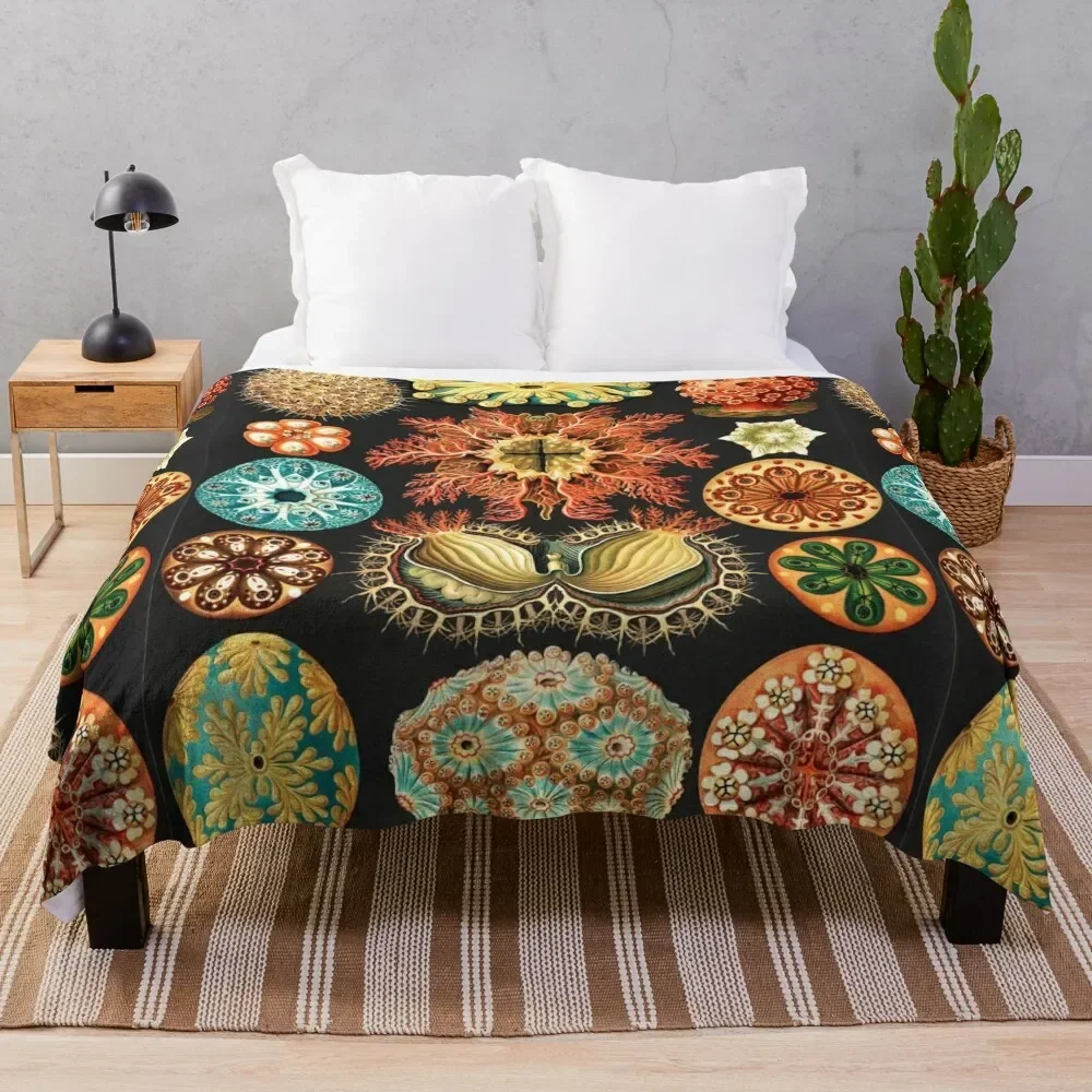 

Artforms in Nature by Ernst Haeckel Throw Blanket halloween fluffy Moving Comforter Blankets