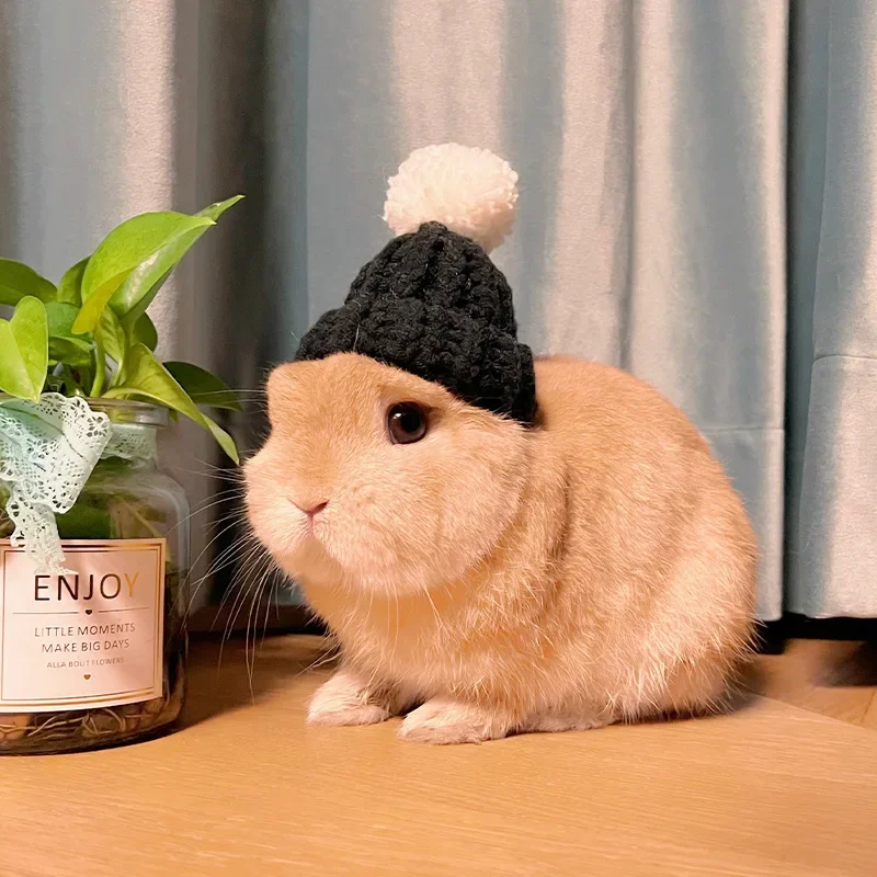 Rabbit Knitted Hat for Pet Rabbit Decorative Bunny Scarf Collar Small Animal Clothes Hat Guinea Pig Stuff Pet Accessories