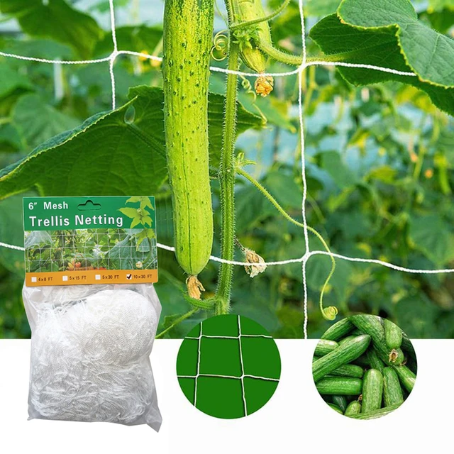 Kerti Növényi Rácsos Háló Poliészter Hegymászás Rattan Nettó Zöld Kertészeti Készletek Zöldségültetvények Virág Uborkához - Image 5