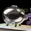 2025 New Pig Piggy Money Boxes Coin Saving Box Transparent Glass Souvenir Birth 4