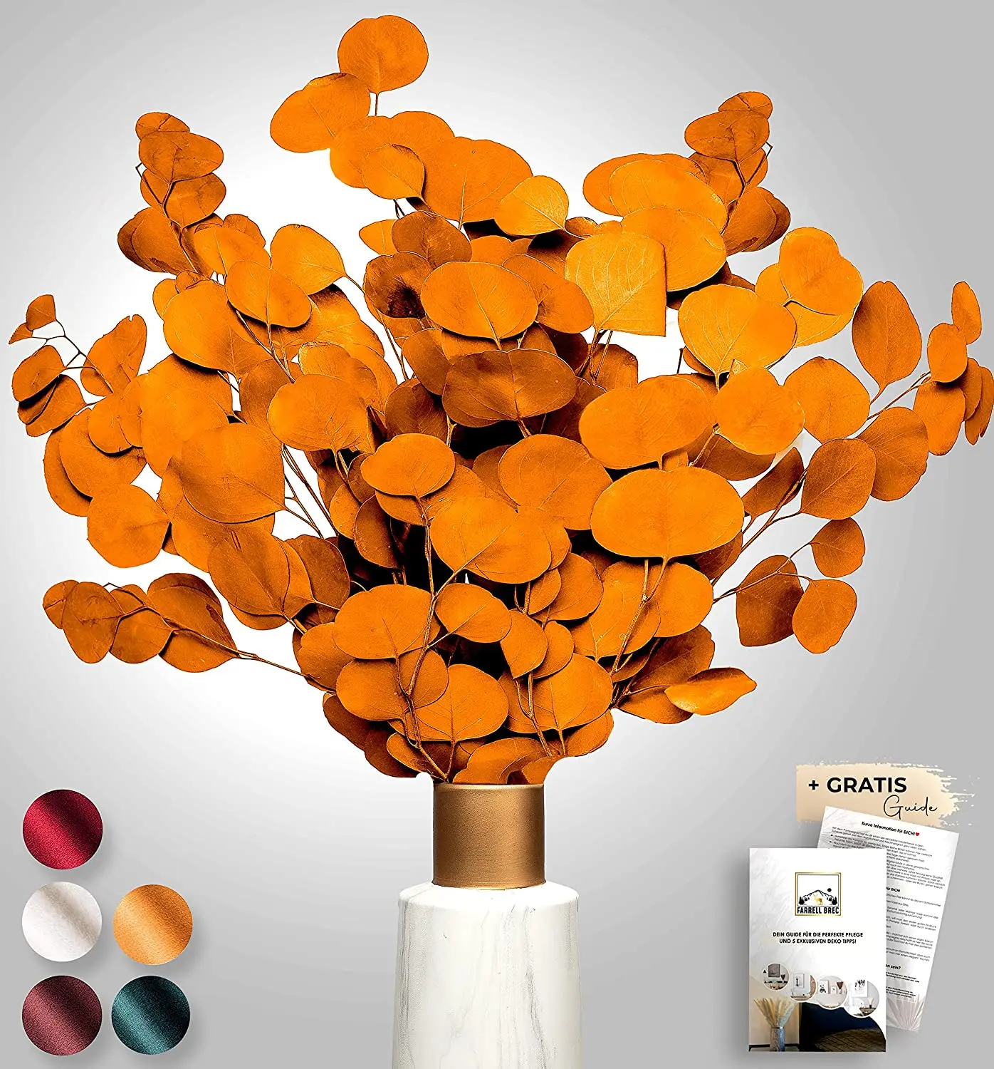 Immortal Eucalyptus Dried Flowers Decoration Dried Eucalyptus