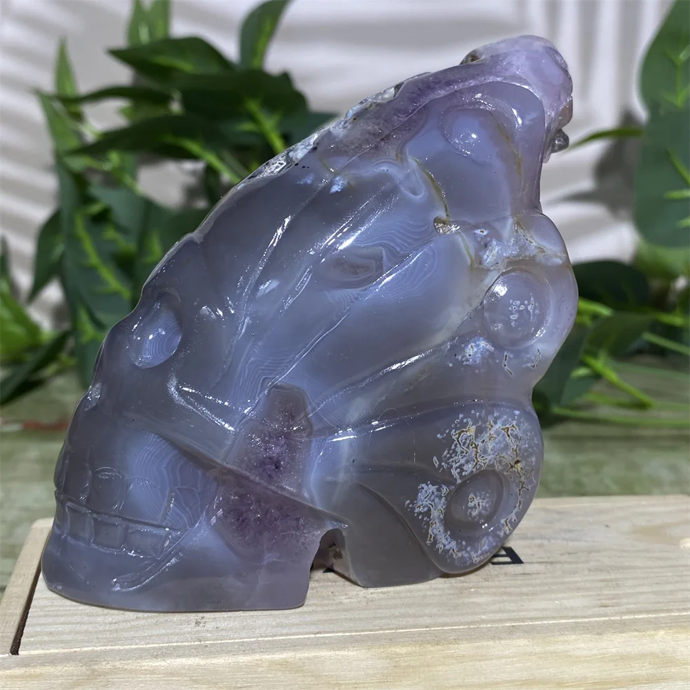 

Amethyst Cluster Crystal Skull Natural Butterfly Handmad Carving Spiritual Minerals Feng Shui Reiki Stone Quartz Home Decoration