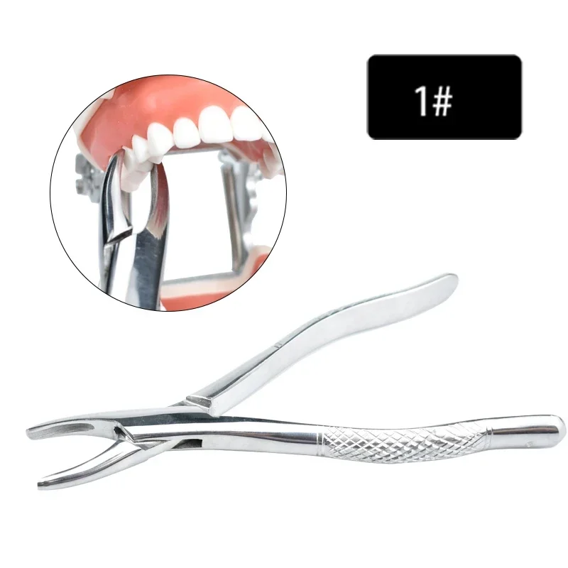 כלי חיתוך שיניים מקצועיים למבוגרים, מלקחי חיתוך שיניים כירורגיים לרופא שיניים
