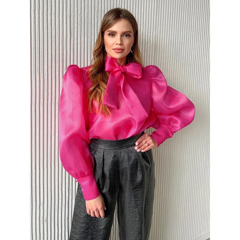 2024 Spring Temperament Fairy Series French Style See-through Bow Mesh Top Women Puff Sleeve Pullover Shirt Wholesale Fengsb