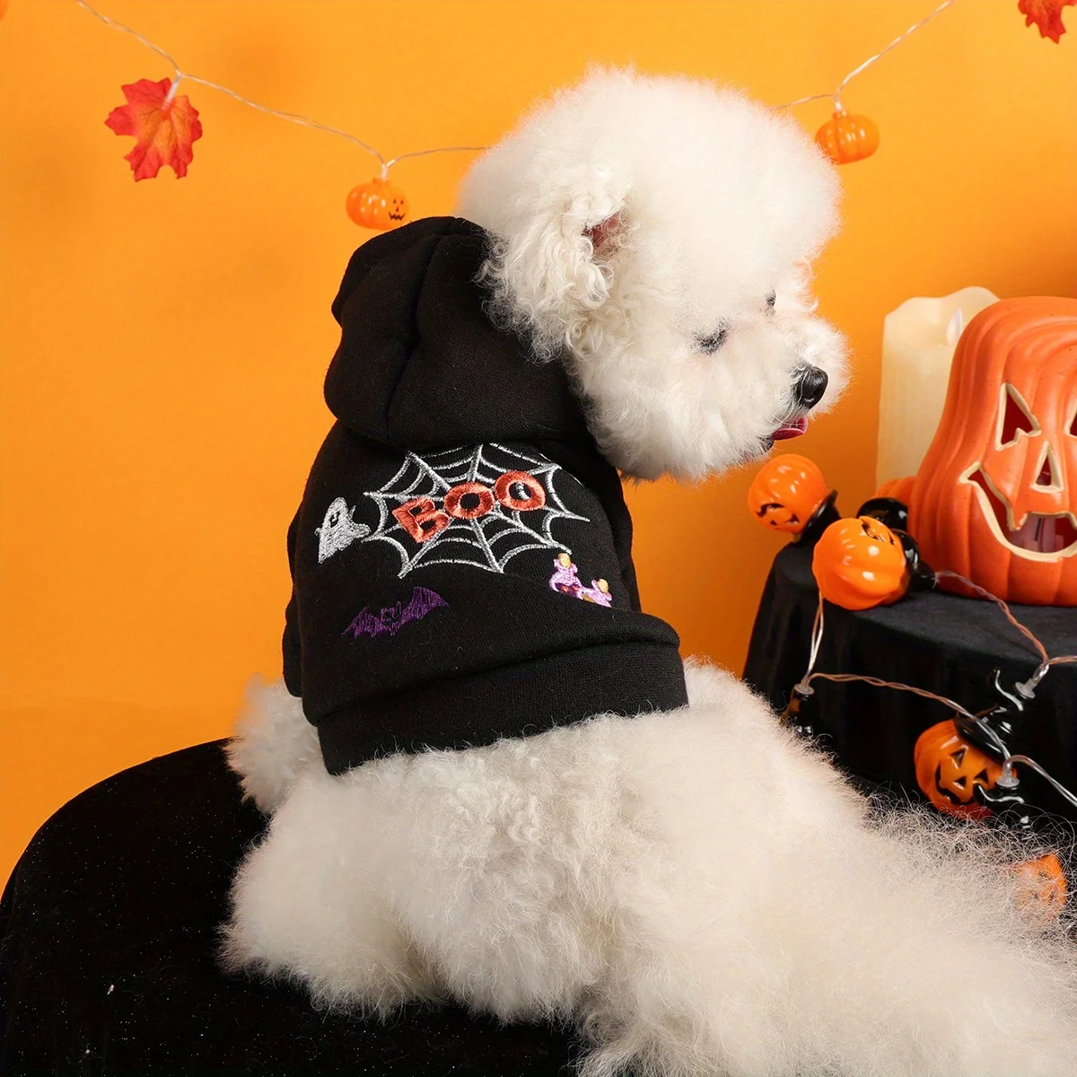 Spider Web Halloween Pet Sweater – Hooded Jacket for Dogs & Cats 5