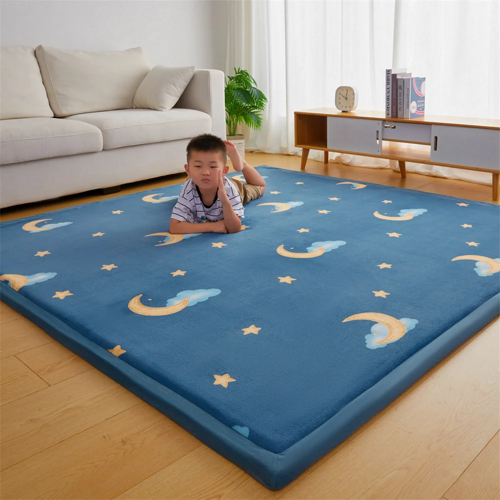Thicken 2cm Carpet Coral Fleece Bedroom Tatami Living Room Carpet Window Bedside Children's Room Baby Crawling Home Non-Slip Mat 5