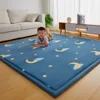 Thicken 2cm Carpet Coral Fleece Bedroom Tatami Living Room Carpet Window Bedside Children's Room Baby Crawling Home Non-Slip Mat 5