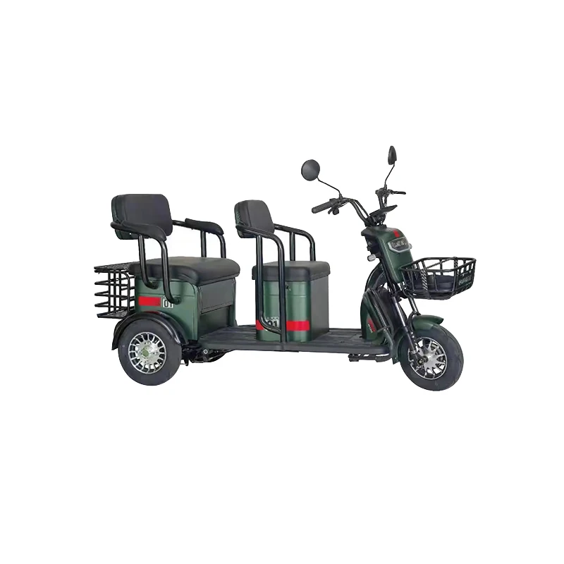 Electric Tricycle For Passenger 1000W electric tricycle Adult Electric Tricycle