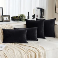 Inyahome Set of 2 Velvet Throw Pillow Case Cushion Cover 30x50cm 45x45cm 50x50cm 60x60cm Home Decor Cojines Black Green Grey 쿠션 1
