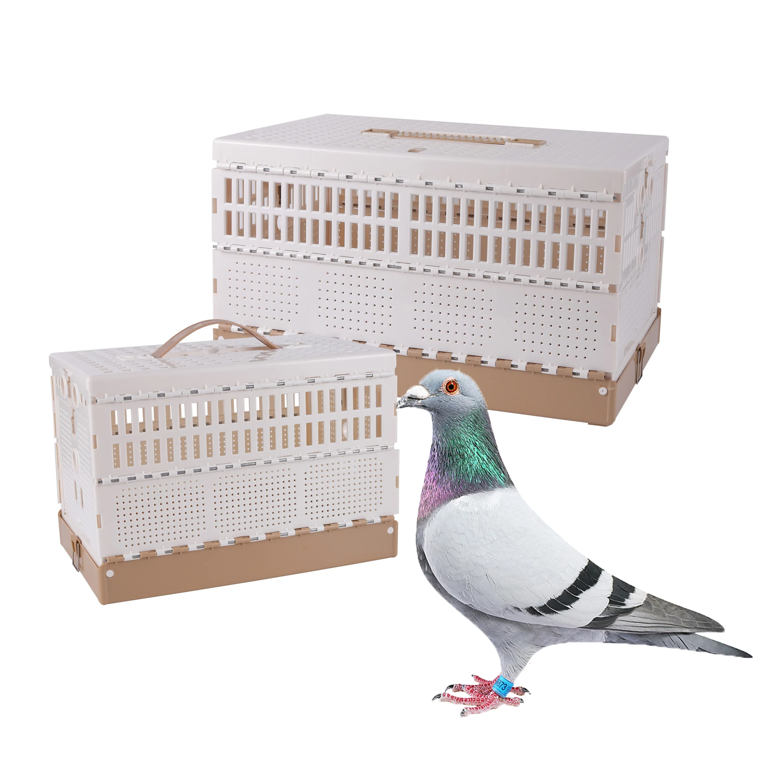 Folding Pigeon Cage Pigeon Training Portable Cage Homing Pigeon