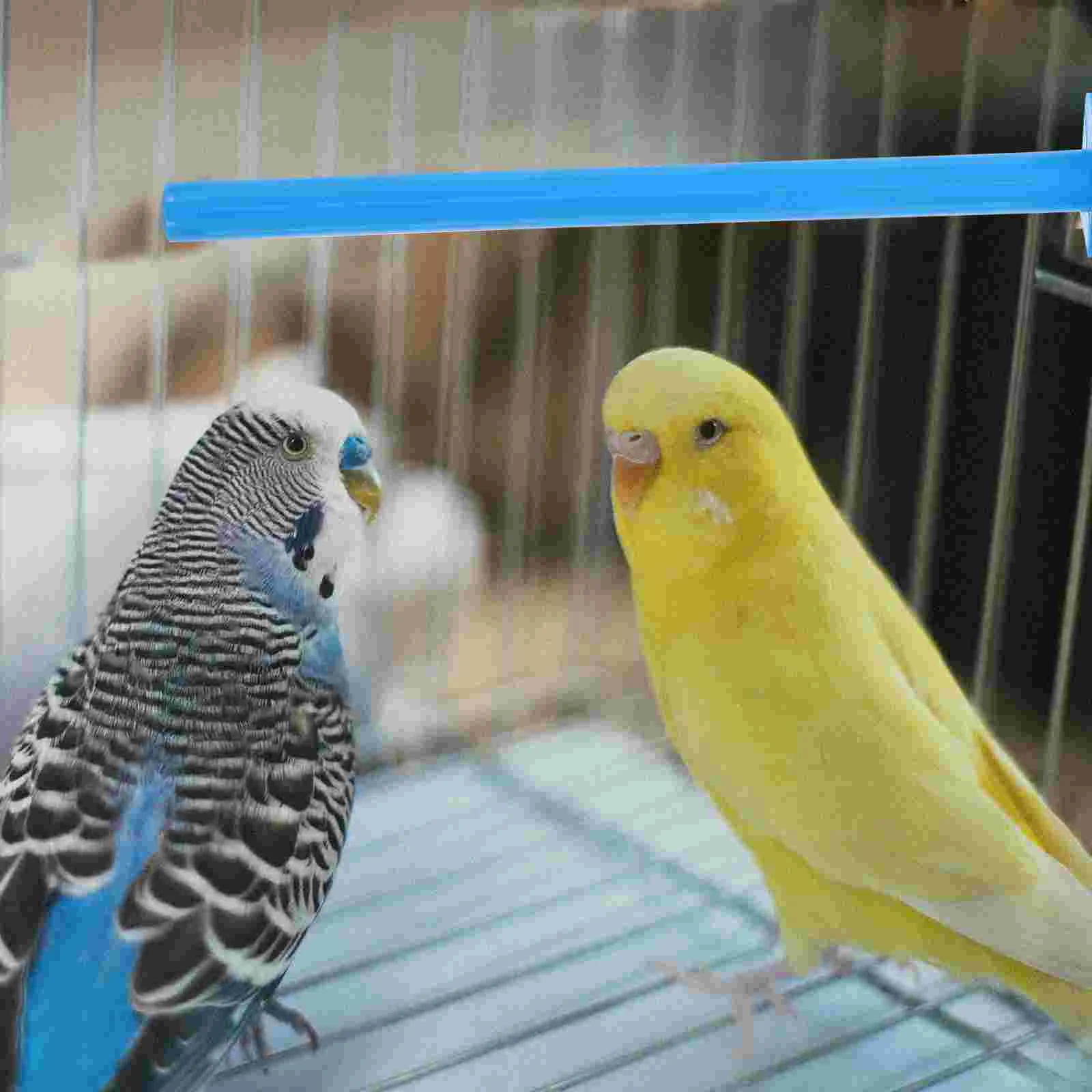 10 Pcs Bird Perch Standing Sticks Parrot Stick Stand Pole Parrot Perch Stands bird cage accessories