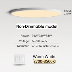 Ultra-Thin LED Ceiling Light - Modern Indoor Lighting Decoration, 2cm Profile, 24W/28W/38W, Warm/Cold/Neutral White - 38W (White-warm white)