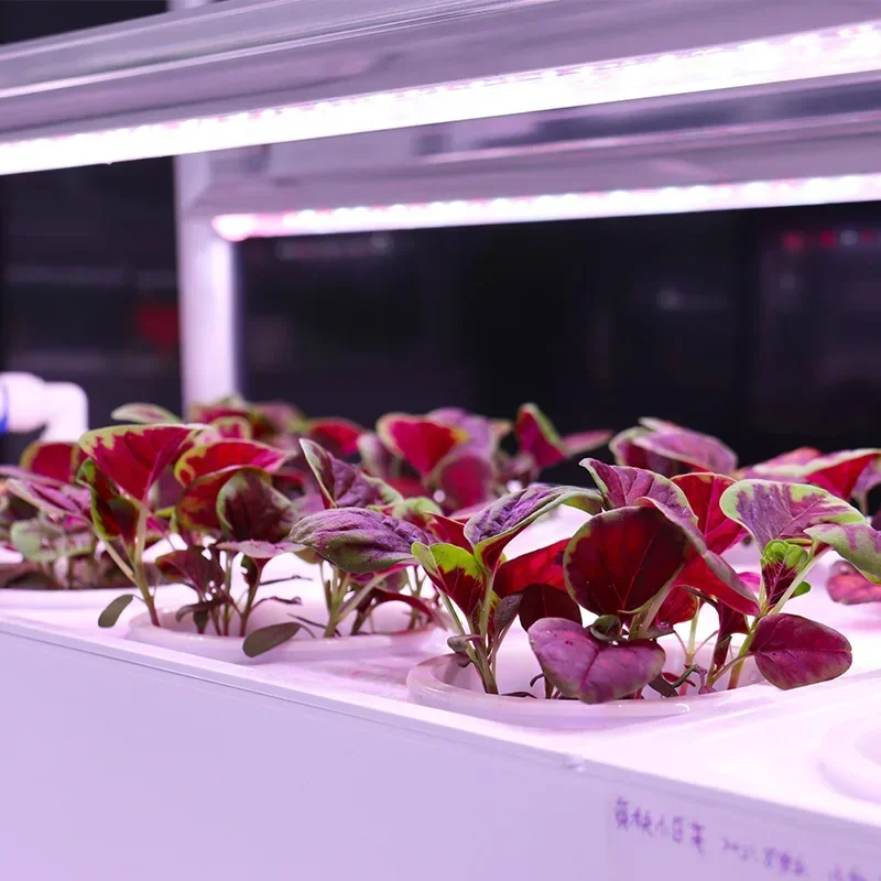 Intelligent planter indoor large soilless cultivation complete set of equipment vegetable strawberry planting box 5