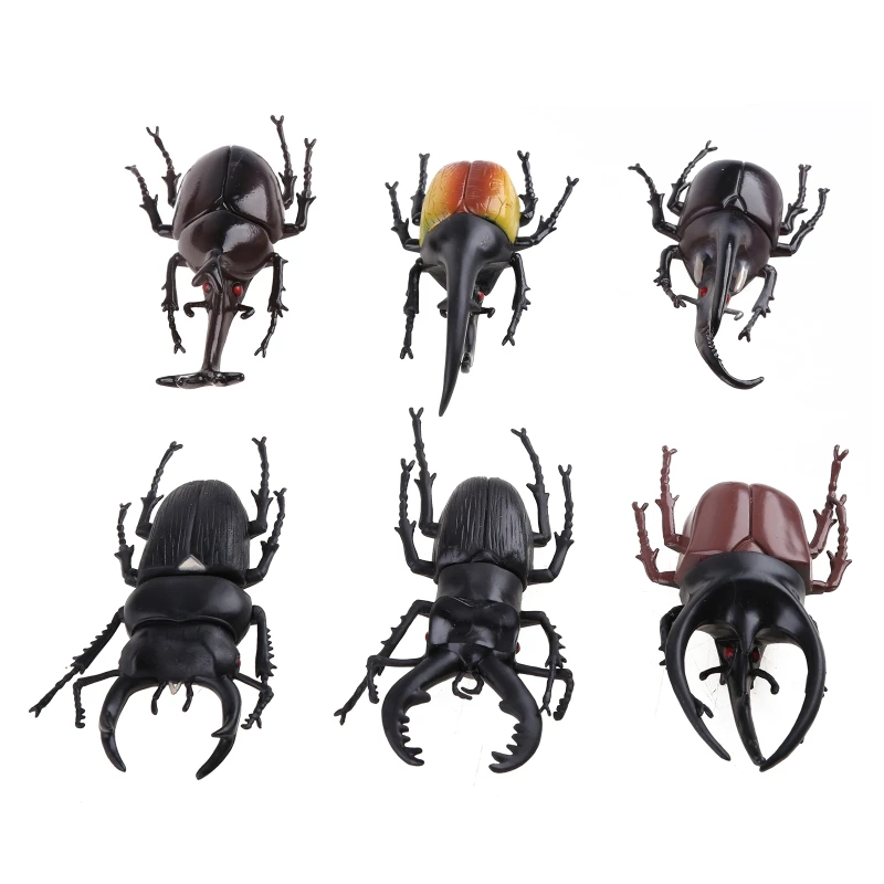 6pcs/set Simulation Solid Static Insect Model Ornaments Realistic Children Educational Props Scene Decoration Kids Toy
