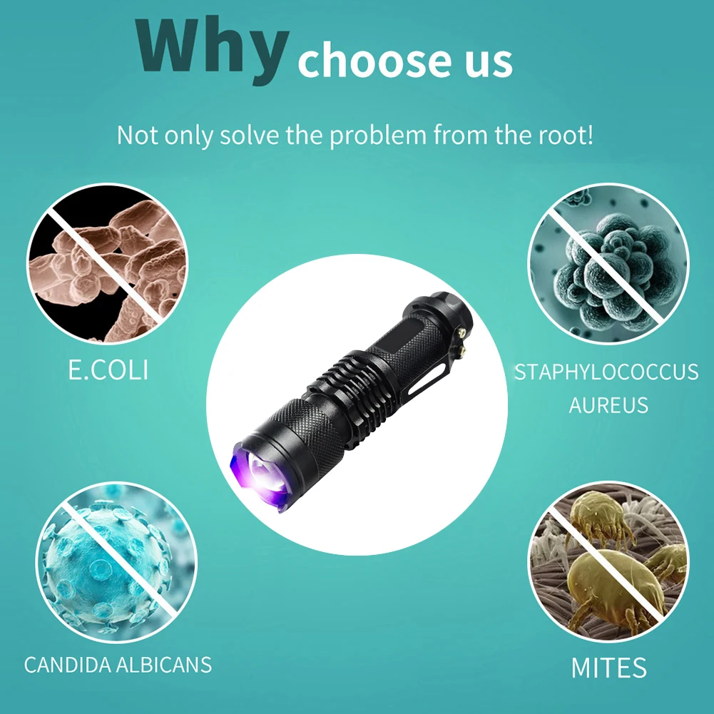 Description Picture 6 of item365nm/395nm Ultraviolet Torch Battery Powered Money Verification Pet Urine Stain Detector Tools LED UV Flashlight