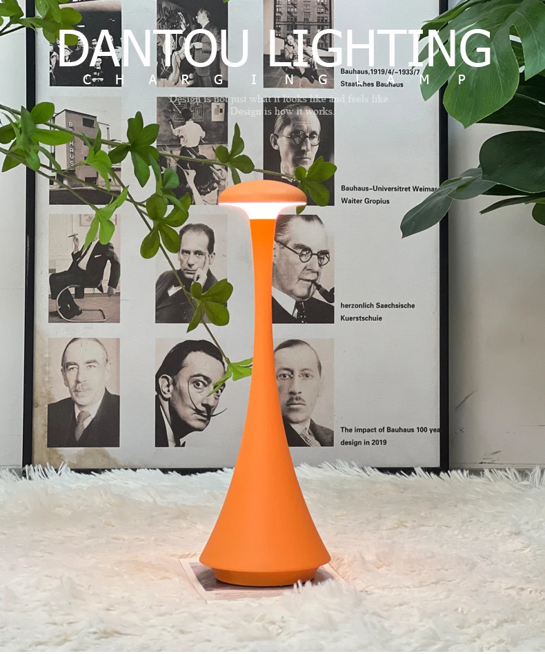 Description Picture 3 of itemHead Mushroom Table Lamp Rechargeable Wireless touch Lamp Creative Lamp USB-C Desk Lamp Hotel Bedroom Atmosphere Light