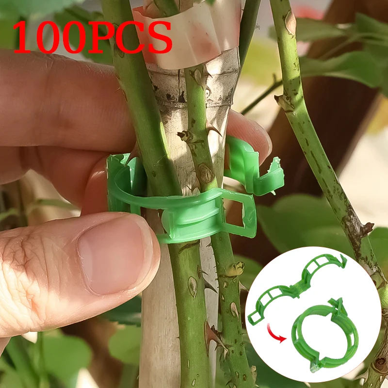 Plastic Plant Support Clips Reusable Vegetable Tomato Vines Protection Plant Clips Holder Grafting Fixing Tools Garden Supplies