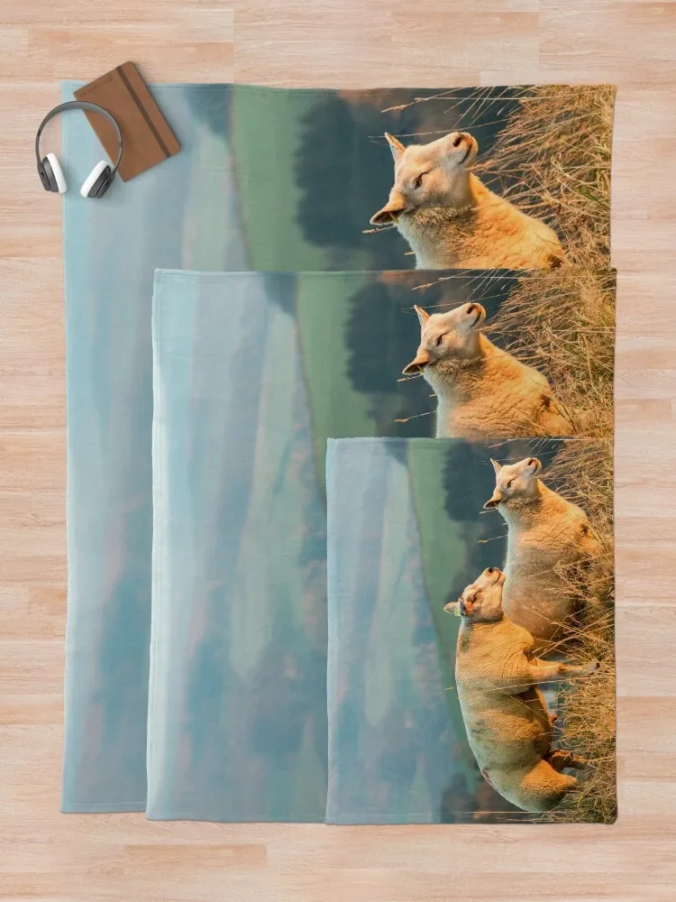 �ؼ� �� III ������ ���, ��� ���Ÿ� �����̳� ���