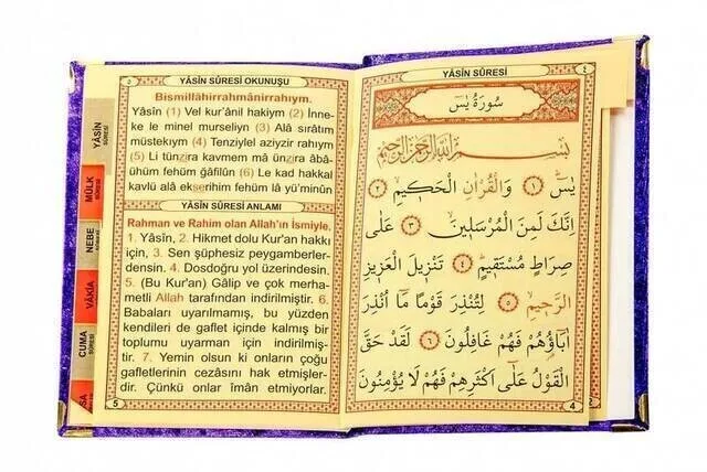 Рисунок 3 - Женская книга-размер сумки-табличка