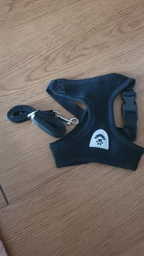 Summer Cat Dog Harness Lead Leash Adjustable Vest Polyester Mesh photo review