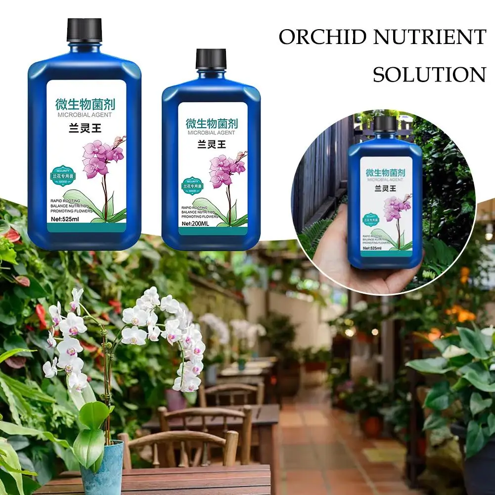 

Plant Nutrient Solution Orchids Growth Enhancer Supplements Rooting Liquid Auxin Plant Nutrient Fertilizers Plant Flowering T2O2