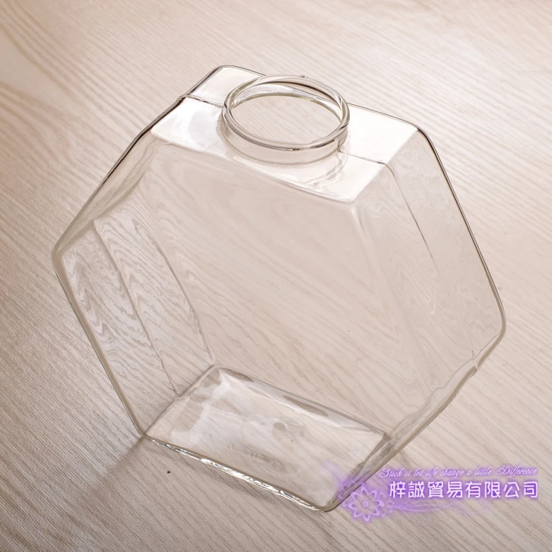 Hexagon Vase Christmas Hexahedron Wall Terrarium Glass Flower Vase Wall Round Sphere Tabletop Vases Home Decoration Transparent 6