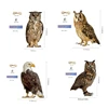 Realistic Owl Bird Repeller Ringing for Outdoor Use Bird Scare and Frighten Bird Keep Birds Away New 6
