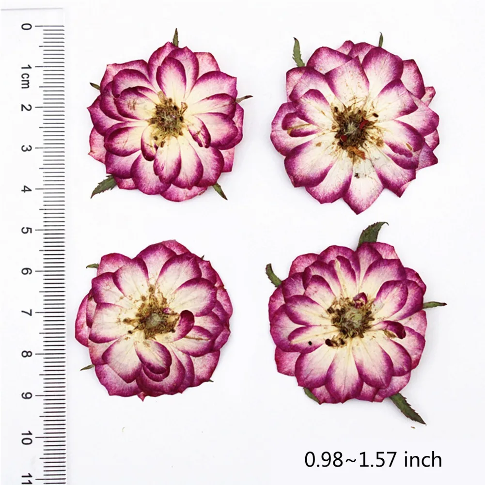  Dried Rose Flowers with Stem for Resin, 42PCS Natural Real  Pressed Rose Flowers, Dry Flowers for Resin DIY Jewellery Ornament Crafts  Candle Making Phone Case Home Decoration : Grocery & Gourmet