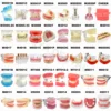 Multiple Types Dental Model Teeth Dental Teaching Models Study Orthodontic Removable Teeth Implant Models Dentist Material 1
