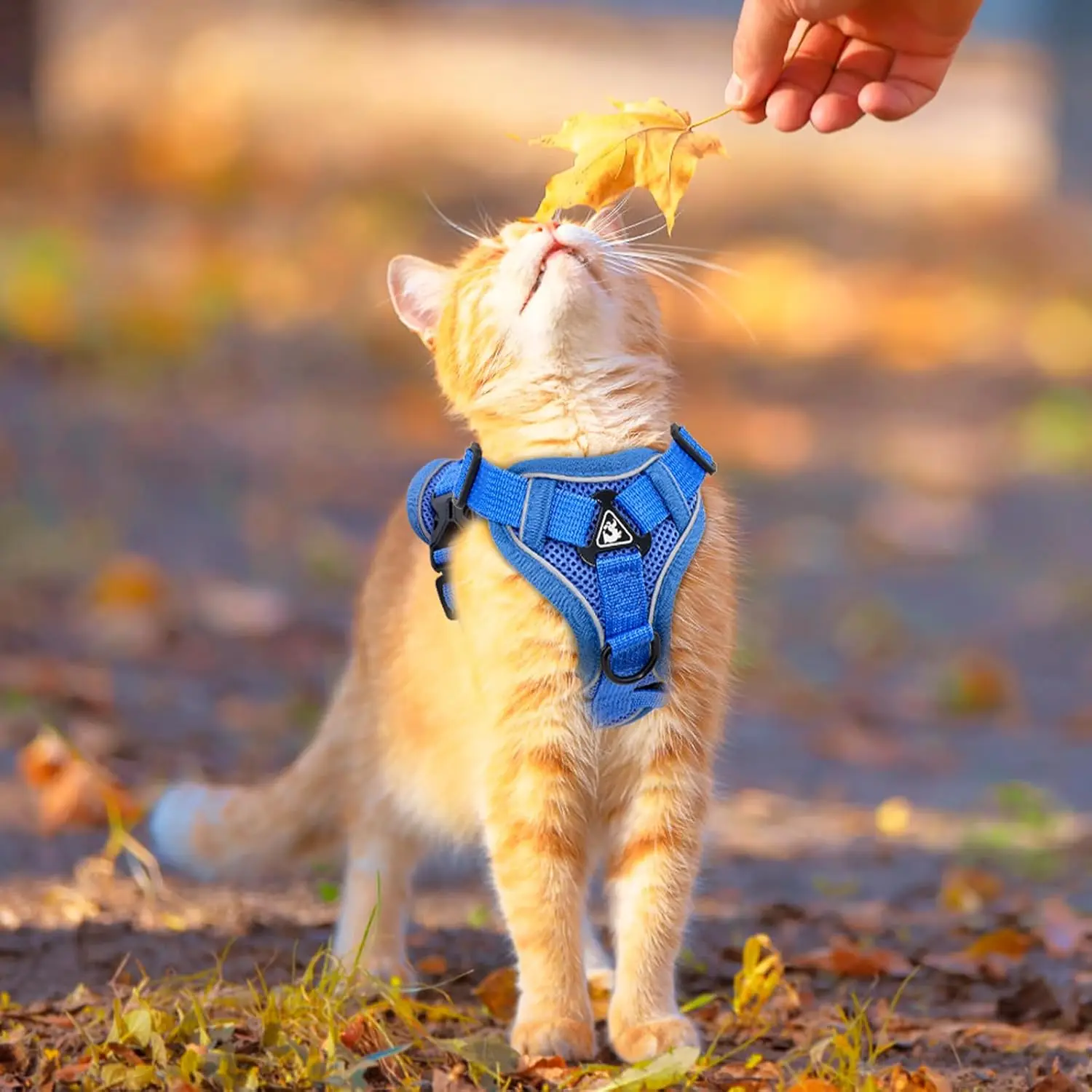 Cat Harness and Leash Set Escape Proof 5