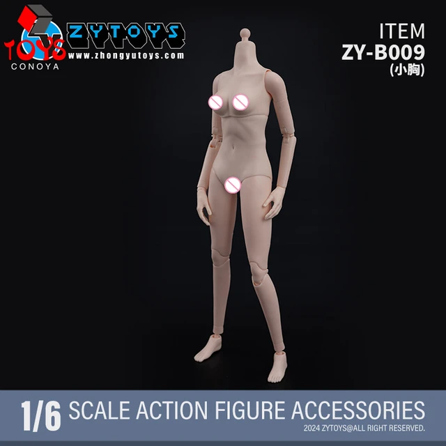 ZYTOYS ZY-B008 ZY-B009 1/6 Scale Female Super Flexible Joint