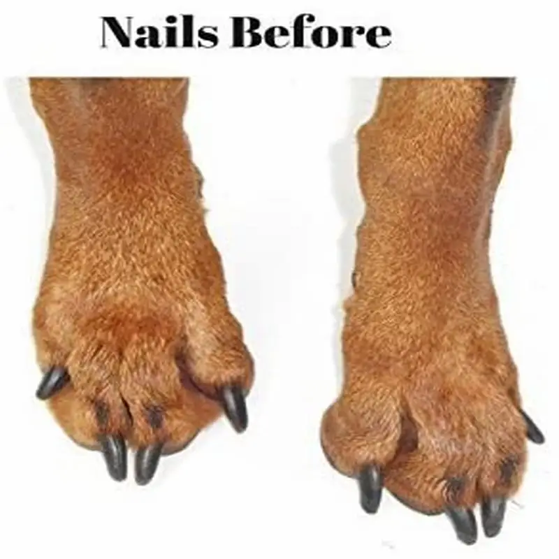 Cat Scratching Board Nail File Stress Free Alternative to Dog Nail Clippers And Dog Grinders Wooden Pull-out Sandpaper Deck