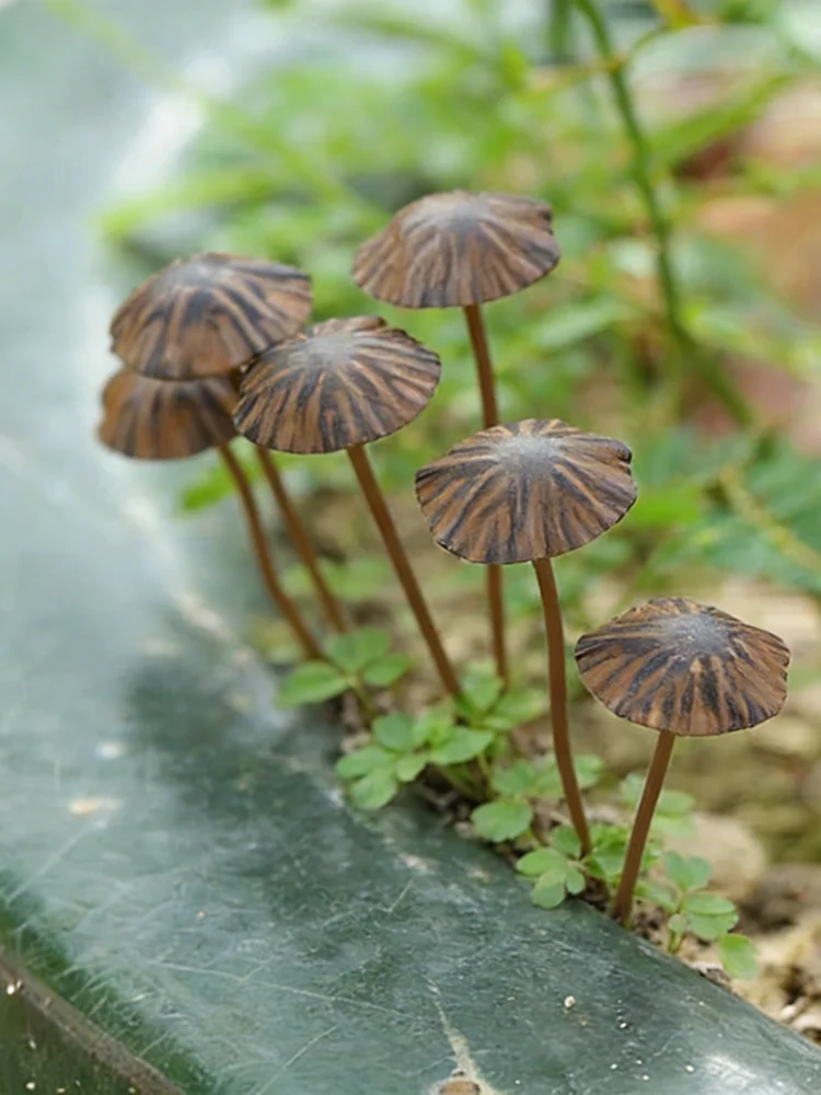 1/5/6/8/10 Stück: Retro-Pilz-Gartenstecker aus Metall, perfekt für die Frühlingsdekoration im Freien und als lustige Dekoration für Ihren Garten – Detail 2