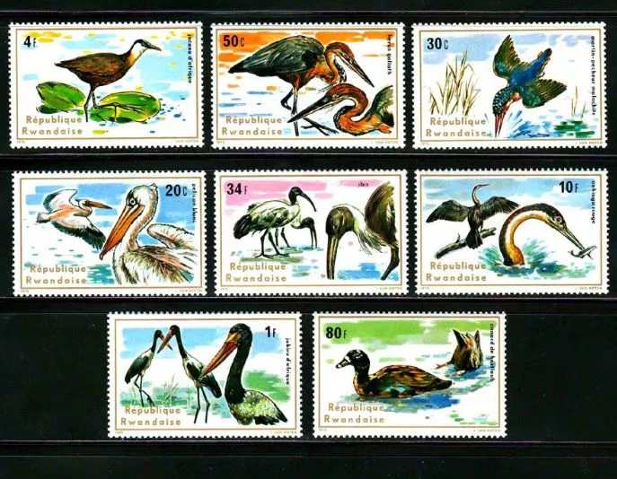 All New Rwanda Post Stamps Postage Year 1975 Wild Birds Waterbird 8 New Collectible Postage Stamps MNH Material For Scrapbooking