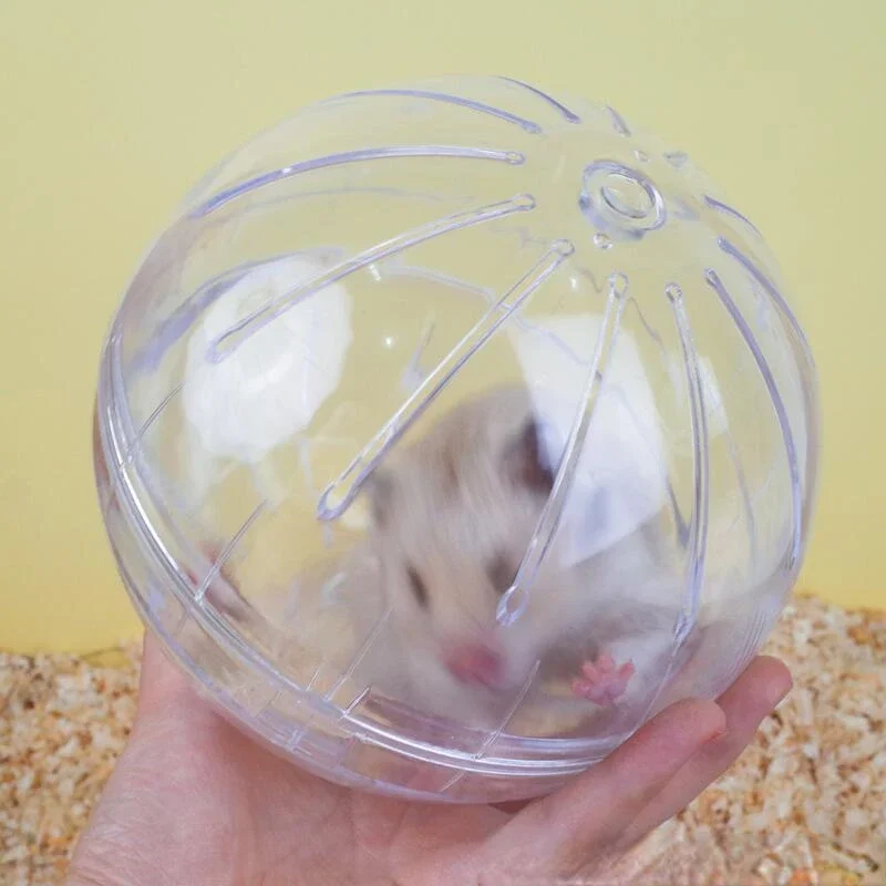 Pet Exercise Balls 14cm Hamster Sport