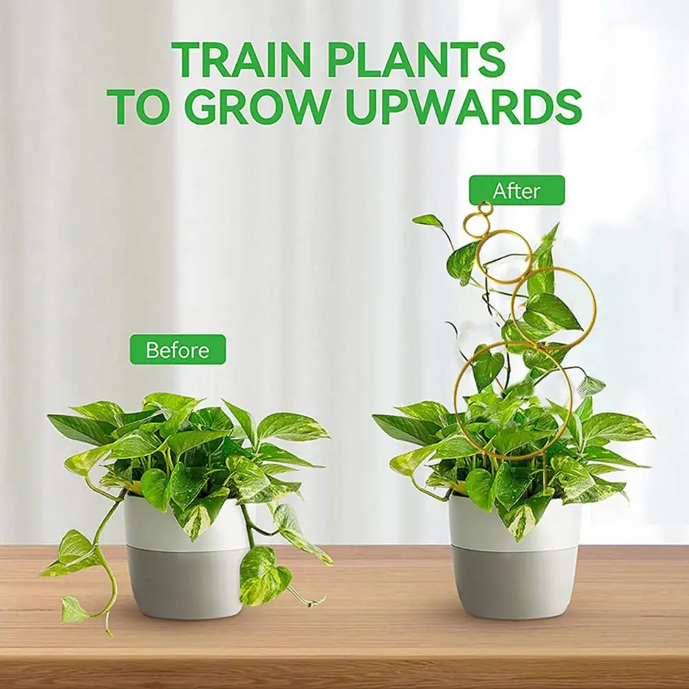 

Climbing Frame for Plants Sturdy Plant Support Frame Metal Turtle Planter Brackets Easy Garden Climbing Frames for Healthy