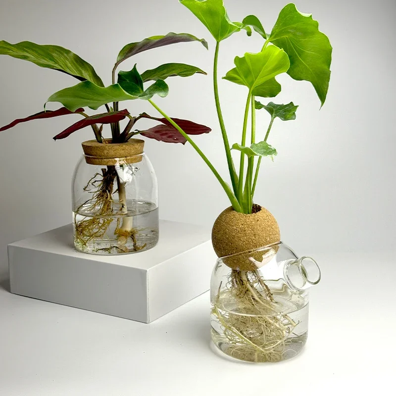 Nordic Style Glass Vase Home Decoration Hydroponic Vases Transparent Tabletop Flower Decor Ornament Hydroponic Plant Bottle Cork 3