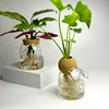 Nordic Style Glass Vase Home Decoration Hydroponic Vases Transparent Tabletop Flower Decor Ornament Hydroponic Plant Bottle Cork 3