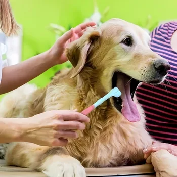 3-Sided Pet Toothbrush for Dogs & Cats - Image 4